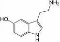 SEROTONIN profile picture