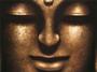 The Bodhisattva profile picture