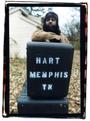Alvin Youngblood Hart profile picture