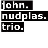 john nudplas trio profile picture