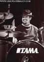 Tim Shelton, Drummer profile picture