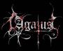 Agatus profile picture