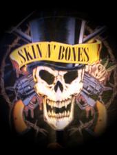 Skin N Bones - Tributo a Guns N' Roses profile picture