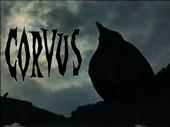 CORVUS profile picture