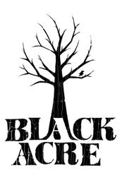 Black Acre Records profile picture