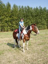 #1 Barrel Racer profile picture