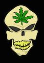 Sativa profile picture