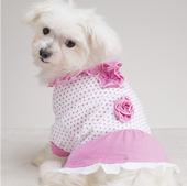 Cutest dog clothing online! profile picture