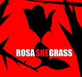 ROSASNEGRASS profile picture