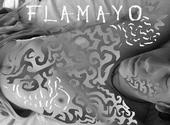 Flamayo profile picture