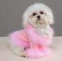 Cutest dog clothing online! profile picture