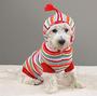 Cutest dog clothing online! profile picture