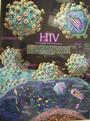 HIV HEALTH AND SUPPORT NETWORK profile picture