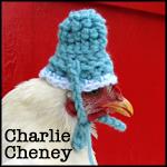 Charlie Cheney profile picture