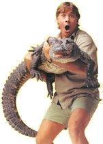 Steve Irwin Memorial profile picture