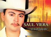 Saul Viera El Gavilancillo profile picture