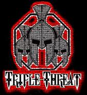 Triple Threat Fight Gear profile picture