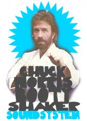 chuck el norris y su booty shaker soundsystem profile picture