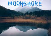 Moonshore profile picture