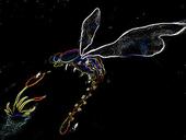 blacklightdragonfly