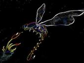 blacklighdragonfly profile picture