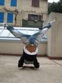 .:: Bboy Ghani ::. =&gt; T.I. King Of The South ! profile picture