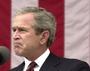 George Dubya Bush profile picture