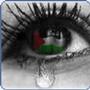 palestine is my life ... profile picture