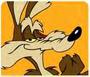 Wile E. Coyote™ profile picture