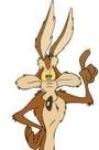 Wile E. Coyote™ profile picture