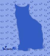 Zampetta Blu profile picture