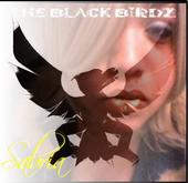 THE BLACK BIRDZ profile picture