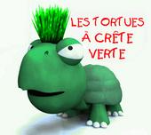 Les Tortues Ã  CrÃªte Verte profile picture