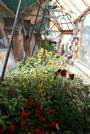 Earthship profile picture