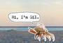 Gil "The Crab" profile picture