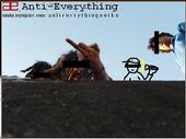 Anti-Everything profile picture