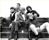 chocolate watchband profile picture