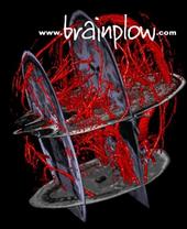 Brainplow profile picture