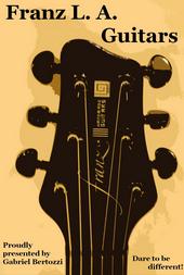Franz L.A. Guitars profile picture