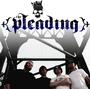 The Pleading (2nd guitarist needed) profile picture