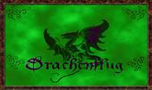 Drachenflug profile picture