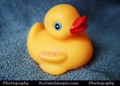 Rubber Ducky profile picture