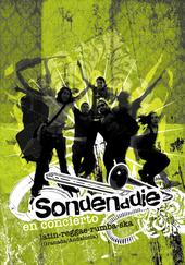 Sondenadie profile picture