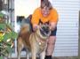 SOSARD (Southern Ohio Search & Rescue Dogs) profile picture