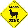 The Original Dali Llama profile picture