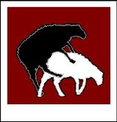 BLACK SHEEP ATTACK profile picture