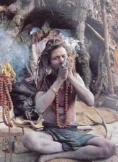 Sadhu Sensi profile picture