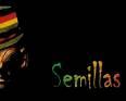 Semillas profile picture