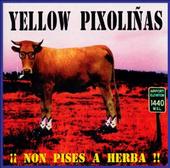 Yellow PixoliÃ±as profile picture