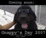 Gnappy s Day 2008 profile picture